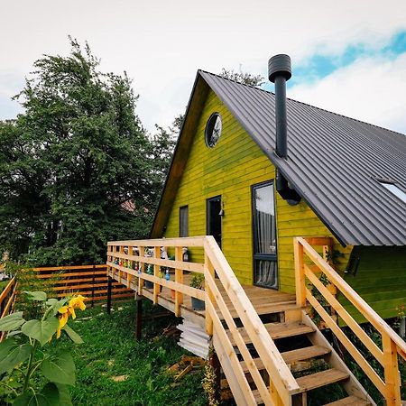 Wooden Cottage "Green House" In Bakuriani Exterior foto