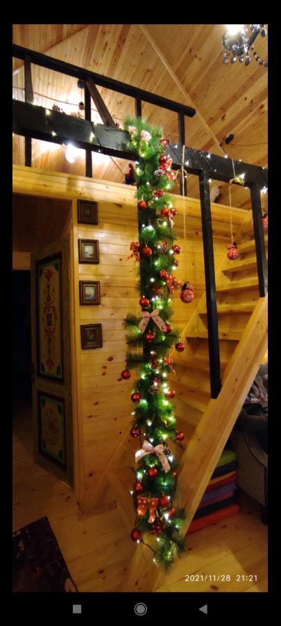 Wooden Cottage "Green House" In Bakuriani Exterior foto